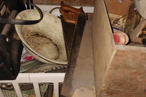 386743751_746024180900404_5360105039901743000_n