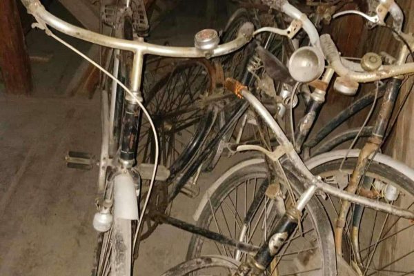 386765464_746024734233682_6462674685133807695_n