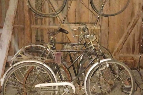 387016817_746024677567021_5408985140401004793_n