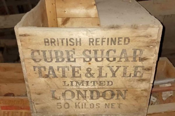 387048755_746024984233657_3657816119879512496_n